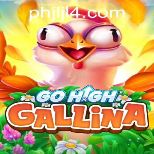 Discover the World of GoHighGallina